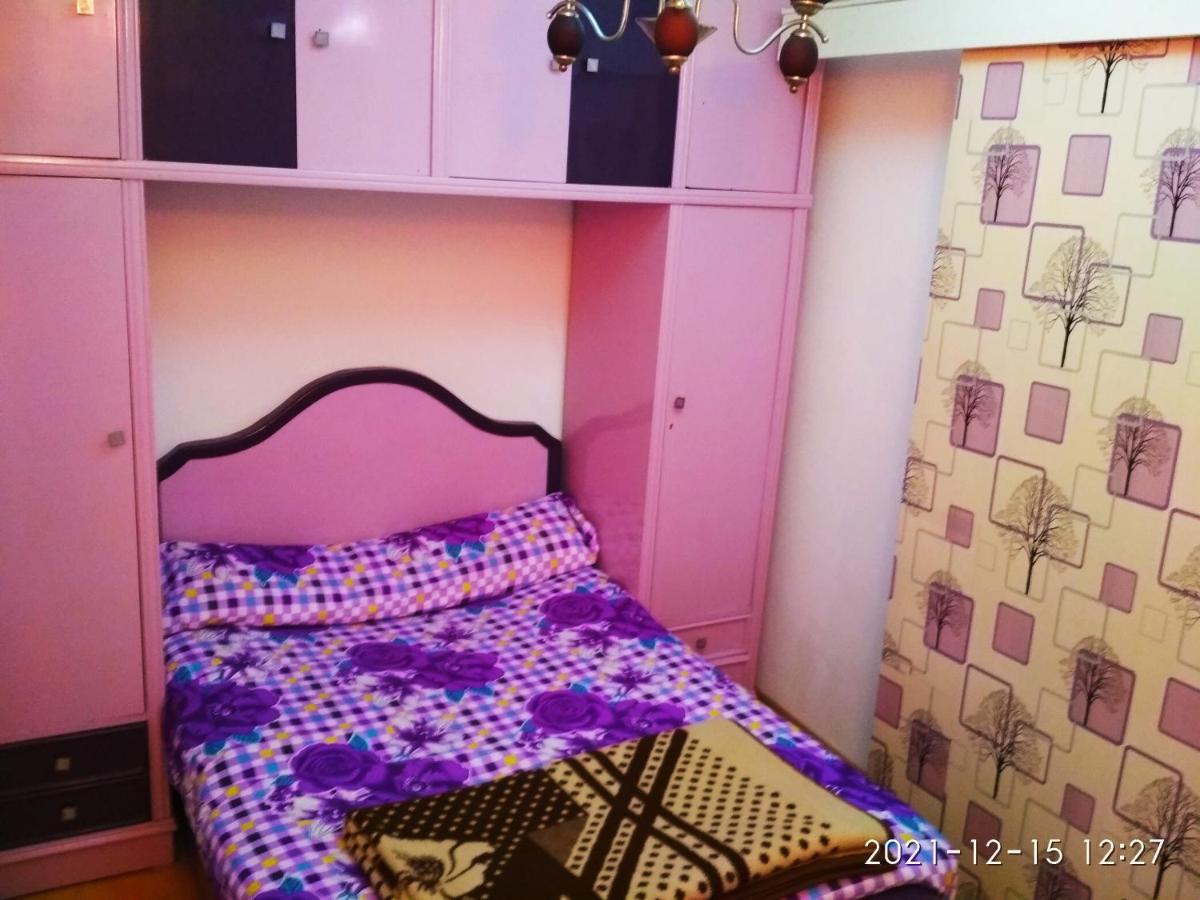 אלכסנדריה Nice House מראה חיצוני תמונה